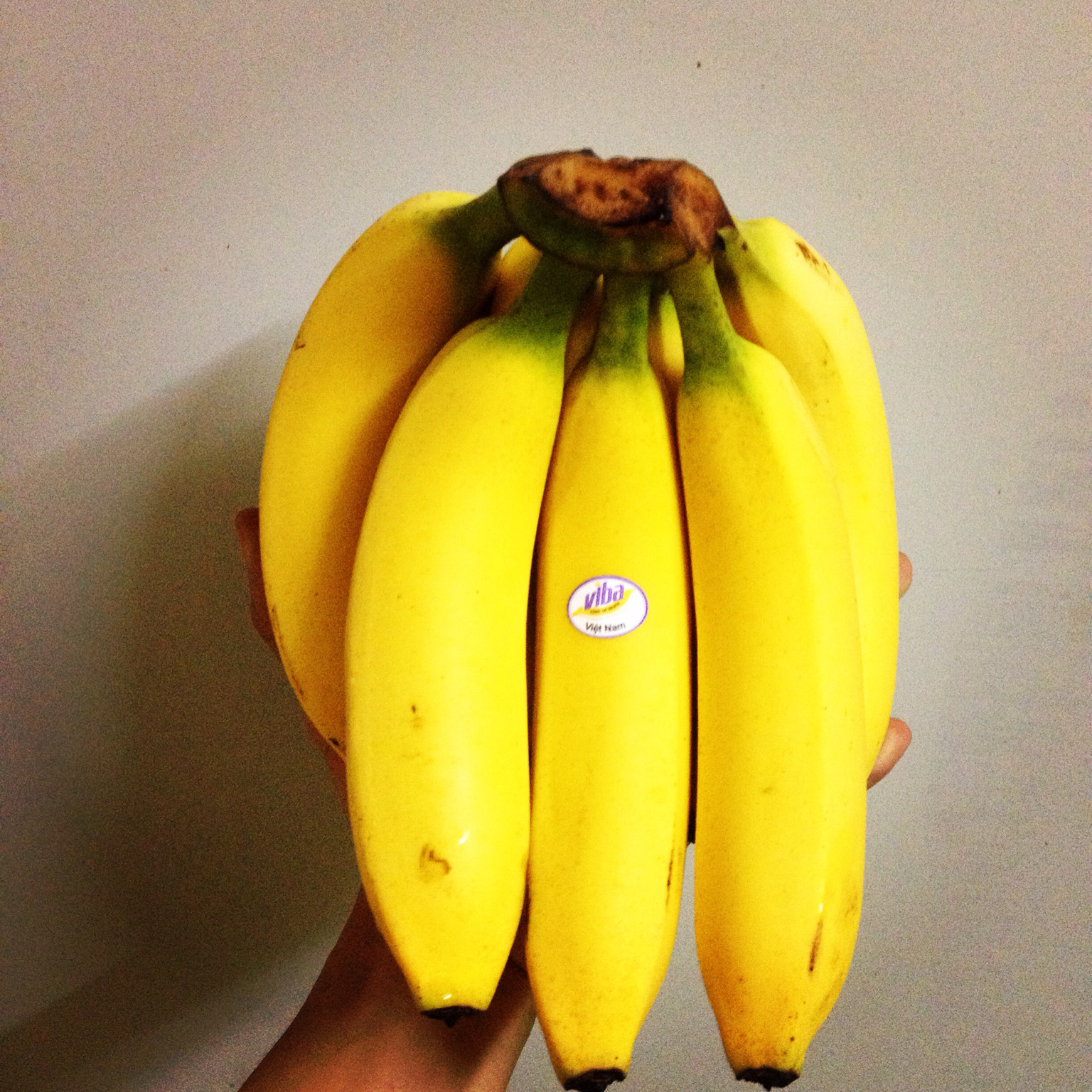 THÔNG TIN CHUỐI VIBA